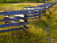 farm fence