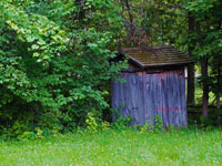 outhouse in the woods