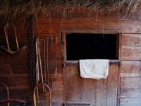 vintage horse stable wall