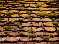 ancient stone tiled roof